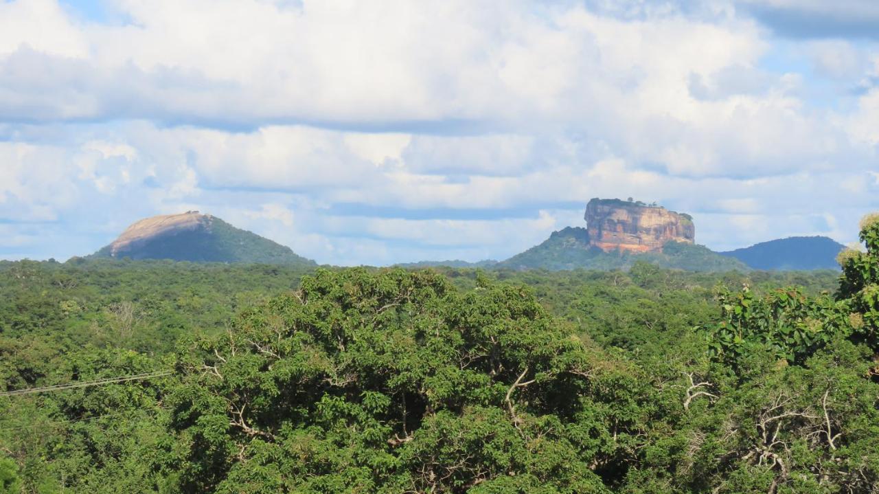 Into The Wild Sigiriya Hotel Kültér fotó