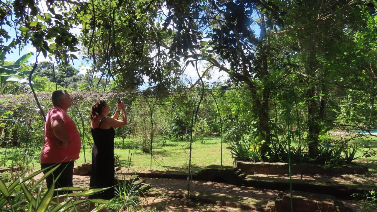 Into The Wild Sigiriya Hotel Kültér fotó