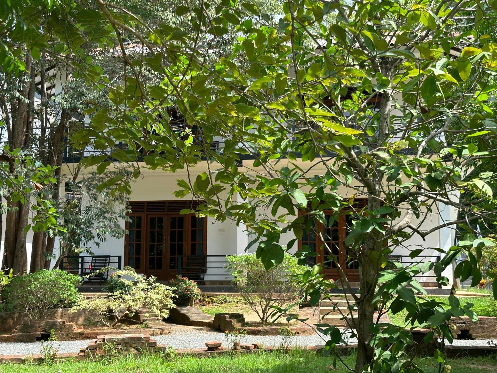 Into The Wild Sigiriya Hotel Kültér fotó