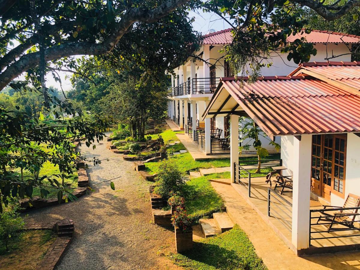 Into The Wild Sigiriya Hotel Kültér fotó
