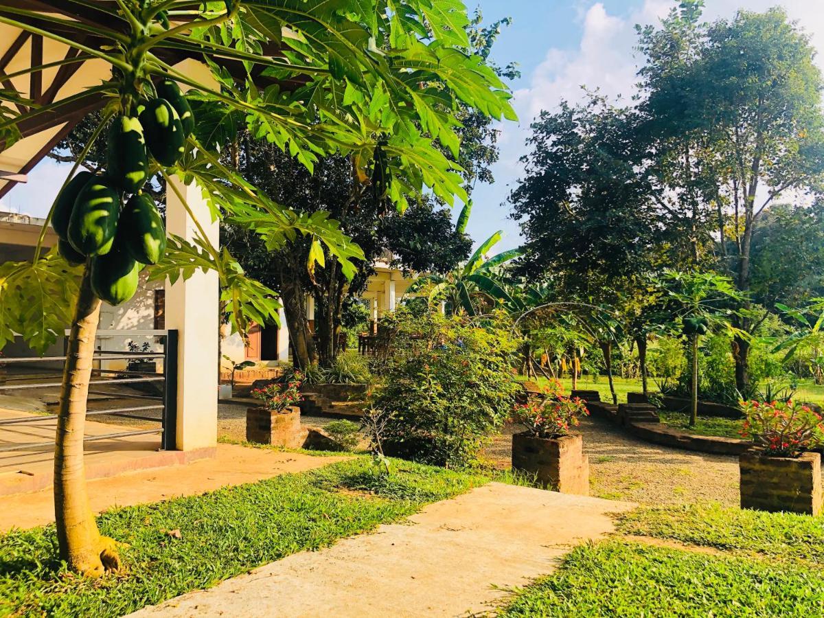 Into The Wild Sigiriya Hotel Kültér fotó